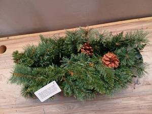 lot 21715 image: Nearly Natural 6ft. White Mountain Pine Artificial Garland with 35 White Warm LED Lights and Pinecones