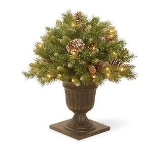 lot 21735 image: National Tree 24 Inch Frosted Berry Porch Bush with Red Berries, Cones and 50 Clear Lights in Dark Bronze Urn (FRB3-24PLO) - Retail $118