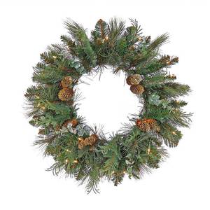 lot 21736 image: National Tree Company First Traditions Pre-Lit North Conway Christmas Wreath with Pinecones and Frost  Warm White LED Lights  Plug In  24 in