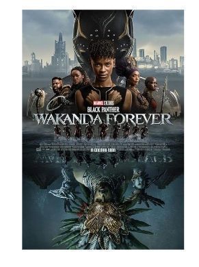 lot 6904 image: BLACK PANTHER WAKANDA FOREVER MOVIE POSTER 2 Sided ORIGINAL INTL FINAL 27x40