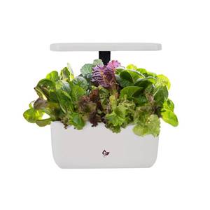 lot 23522 image: AeroGarden Harvest Lite in Cream, Soil-Free Indoor Hydroponic Garden with LED Grow Light for Year-Round Gardening of up to 6 Herbs and Vegetables