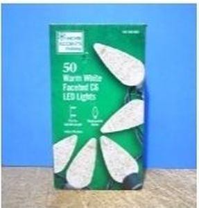 lot 30276 image: Home Accents Holiday 50 Warm White Faceted C6 LED String Lights Christmas