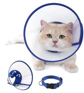 lot 31162 image: 5 Packs of Cat Cone Recovery Collar, Adjustable Elizabethan Collar for Cats to Stop Licking After Surgery, Soft Comfortable Pet Cone for Neck Girth 7.5-9.0