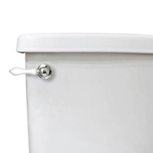 lot 3013 image: Danco 12062 Toilet Tank Lever, Chrome