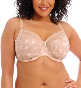 lot 3079 image: Elomi Womens Plus Size Morgan Banded Underwire Stretch Lace Bra, Toasted Almond, 36HH