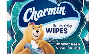 lot 3398 image: Charmin Flushable Wipes, 80 Total Wipes (2 Packs of 40)