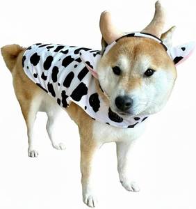 lot 2054 image: ComfyCamper Cow Print Costume for Dogs - XXL Large Highland Animal Cosplay Halloween Costumes Christmas, XL