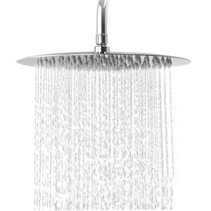 lot 3698 image: NearMoon Rain Shower Head, Ultra-Thin Design-Pressure Boosting, Awesome Some Experience, High Flow Stainless Steel Rainfall Head (10 Inch, Chrome Finish)
