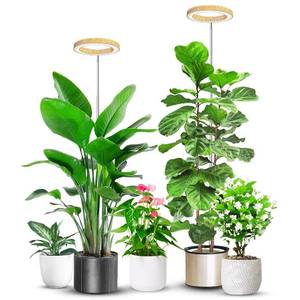 lot 6077 image: Grow Lights for Indoor Plants, Full Spectrum Plant Lights for Indoor Growing with 61216H Timer, 3 Optional Spectrums, 5 Brightness, Height Adjustable 10-65 Wood Grain Growing Lamp