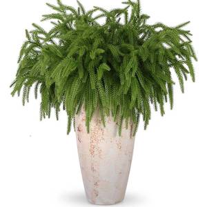 lot 7978 image: Rowfad 12 Pcs Artificial Norfolk Pine Branches, Norfolk Pine Artificial Pine Stems DIY Crafts Faux Christmas Greenary Norfolk Pine Branches for Xmas Wreath Garland Home Decor (12)