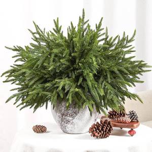 lot 9609 image: Alupssuc 18 Inch Norfolk Pine Stems, 12 Pcs Real Touch Norfolk Pine Branch, Christmas Greenery Stems for Vase DIYGarland MakingTable Decoration, Christmas Decoration for Indoor, Outdoor & Home