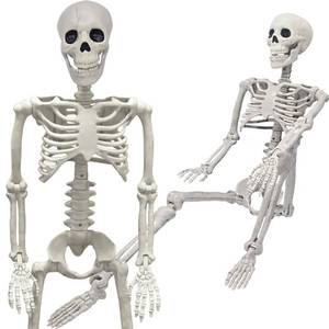 lot 14293 image: 36 Skeleton Halloween Decorations, 3FT Realistic Full Body Movable Posable Joints Skeleton, Creepy Halloween Plastic Skeleton for Graveyard Decorations, Haunted House Props IndoorOutdoor Decor