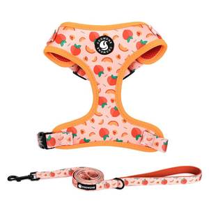 lot 14300 image: Dog Harness and Leash Set, Adjustable Dog Harness, Dog Leash, No Pull No Choke Puppy Harnesses for Walking Training for Small Medium Pet