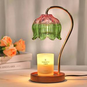 lot 19626 image: Funistree Glass Candle Warmer Lamp with Timer, Electric Candle Warmer Lamp, Graduation Birthday Gifts for Women Girls, Flower Candle Light Warmer Gifts, Aromatic Candle Warmer for Vintage Home Decor