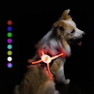 lot 20035 image: Light Up Dog Harness 2025 LED Dog Harness with RGB Multi-Color Mode & Super Bright TPU Strip, USB Rechargeable, Waterproof, Adjustable Glow in The Dark Harness for Night Walking Safety, Avoid Accident