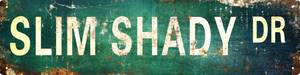 lot 6172 image: AWISZZZ Vintage Metal Tin Sign Retro Slim Shady Dr Signs Stylish Wall Art Plaques for Home Decor Bathroom Kitchen House and Gothic Wall Decor or as a Unique Poster 16x4 in