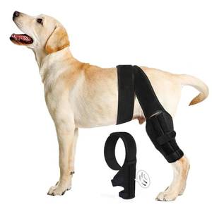 lot 14379 image: Tinzum 9XS Dog Knee Brace for Torn ACL and Hind Leg Support