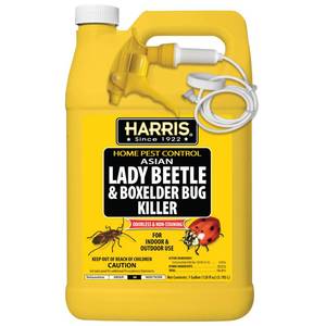 lot 15466 image: Harris Asian Lady Beetle, Japanese Beetle, and Box Elder Killer, Liquid Spray with Odorless and Non-Staining Extended Residual Kill Formula (Gallon)