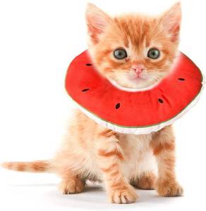 lot 16293 image: Kitten Cones After Surgery 0-6 Months, Donut Extra Small Kitten Cone Collar Soft to Stop Licking Neck, Elizabethan e Collar for Recovery, xs Small Cat Cone Spray, Pet Soft Cone for Cats Watermelon S