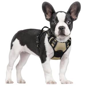 lot 20171 image: rabbitgoo Dog Harness No Pull with 2 Leash Clips, Adjustable Soft Padded, Reflective Oxford No Choke Pet Vest with Easy Control Handle for Small Dogs, Beige, S