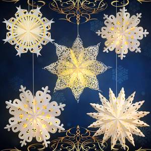 lot 3801 image: Mudder 5 Pieces Christmas Snowflake Paper Lantern with 7 Light up Star Paper 3D Hanging Lantern Lamp Party Decoration for Weddings Holiday Xmas Trees(Cute Style,White)