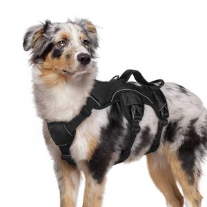 lot 6243 image: rabbitgoo Escape Proof Dog Harness, Soft Padded Full Body Pet Harness, Reflective Adjustable No Pull Vest with Lift Handle and Leash Clip for Large Dogs Walking Hiking Training, M, Black