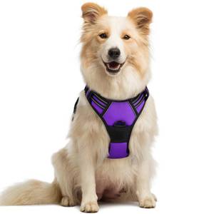 lot 6363 image: rabbitgoo Dog Harness No Pull with 2 Leash Clips, Adjustable Soft Padded, Reflective Oxford No Choke Pet Vest with Easy Control Handle for Medium Sized Dogs, Purple, M