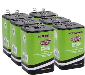 lot 3835 image: Interstate Batteries 6V HD Lantern Flashlight Battery (6-Pack) 6 Volt 7000 mAH Square Shape Beam Light (Spring Terminals) Camping, Hiking, Household, Lamps, Outdoors (DRY1403)