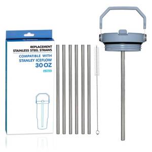 lot 6421 image: Marchoose 6 PCs Replacement Stainless Steel Straws for Stanley ice flow, 8 inch Reusable straw for Stanley Ice Flow 30oz with Cleaning Brush, Compatible with Stanley Flip Straw Tumbler (30oz)