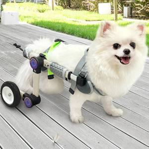 lot 11721 image: LetPetRun Adjustable Dog Wheelchair for Back Legs Mobility Support Lightweight Pet Wheelchair for Disabled Hind Legs Walking Stable Dog Cart for Pets, XX-Small White