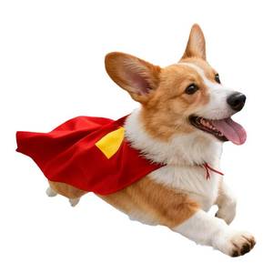 lot 44695 image: Red Dog Hero Costume Cape for Halloween and Parties (Medium) - Retail $16