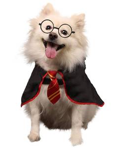 lot 10240 image: Coomour Halloween Dog Costume Pet Wizard Shirt Cat Soft Clothes for Dogs Cats Soft Hoodies with Glasses (X-Large)