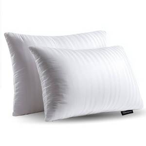 lot 10358 image: Beautyrest Luxury Goose Feathers Soft Pillows, 500 Thread Count Cover 20 x28, Queen (Pack of 2), Supportive Fluffy Hotel Collection Bed Pillows for Side and Back Sleepers