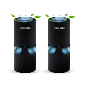 lot 10446 image: LabCharge Small Ionic Air Purifier for Home &amp Bedroom - Silent HEPA Filter - Covers 250 Sq Ft - Free Cleaner for Pets, Hair, Smoke, Dust, Odors &amp Dander - Compact &amp Black Design - Pack of 2