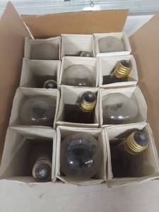 lot 3443 image: Clear Glass Light Bulbs with Brass Base