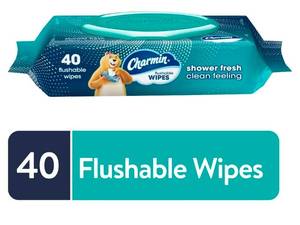 lot 1079 image: 1 pack Charmin Flushable Wipes, 40 count