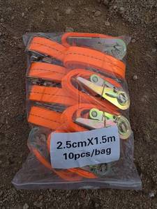 lot 2905 image: Orange Ratchet Tie Down Straps - 10 Pack 2.5cmX1.5m
