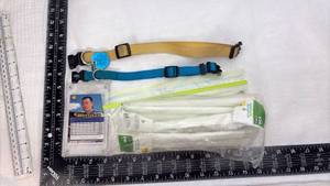 lot 228 image: NASCAR Trading Card and Dog Collar Set