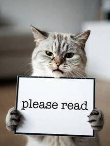 lot 00100 image: ATTENTION
