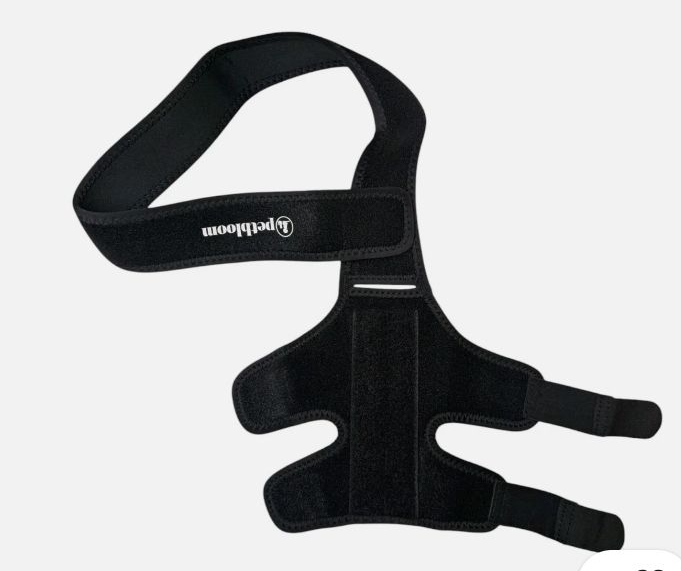 lot 64345 image: Adjustable Dog Knee Brace Support. (Size S)