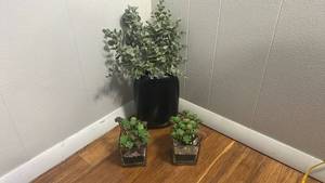 lot 89 image: Modern Black Ceramic Planter Set with Artificial Plants