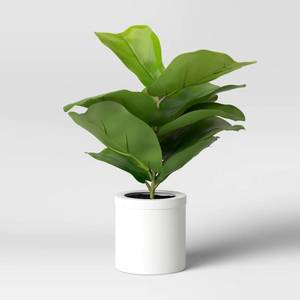 lot 2392 image: Set of 3 15 x 10 Artificial Fiddle Leaf Plant in Pot - Threshold�� Lush Greenery, Ceramic Base