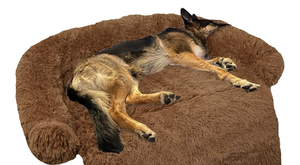 lot 2440 image: Dog bed  - Retail $0