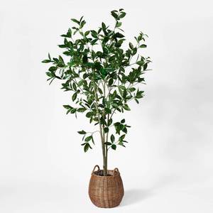 lot 2491 image: Bay Leaf Tree in Basket - Threshold�� designed with Studio McGee - Retail $150