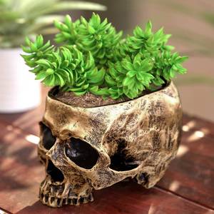 lot 3374 image: READAEER Resin Skull Bowl, Makeup Brush Organizer, Pen Holder, Planter Flower Pot, Skull Statue for Home Office Indoor Desk Decorations (Gold)