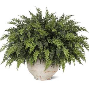 lot 3688 image: Juxdp Real Touch Christmas Cedar Branches-18 Inches, Artificial Cedar Branch Faux Greenery Plants Stem Fake Pine Picks for Vase DIY Crafts Garland Wreath Xmas Indoor Outdoor Decor (12 Pcs)