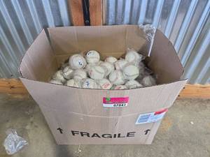 lot 7042 image: Bulk Lot of Rocky Mountain Vibes&nbspBaseballs