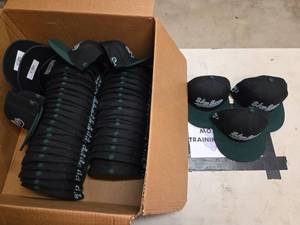 lot 7175 image: Sky Sox On-Field Official Baseball Caps - Varying Sizes