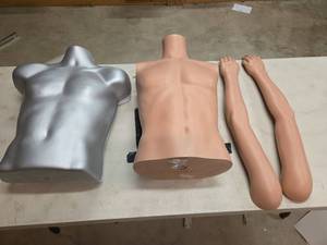 lot 7226 image: Male Torso Display Mannequins