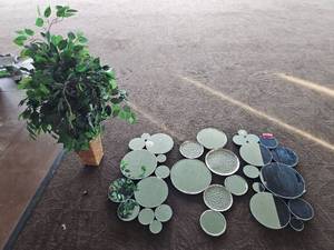 lot 9012 image: Artificial Ficus Tree and Decorative Mirrors